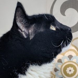 Meet your Posher, Heather